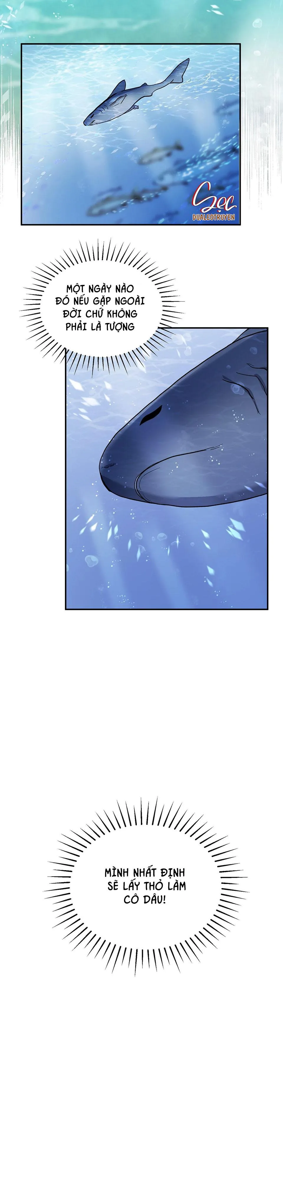 CÁ MẬP VÀ CÔ DÂU THỎ Chapter 1 Trang 17