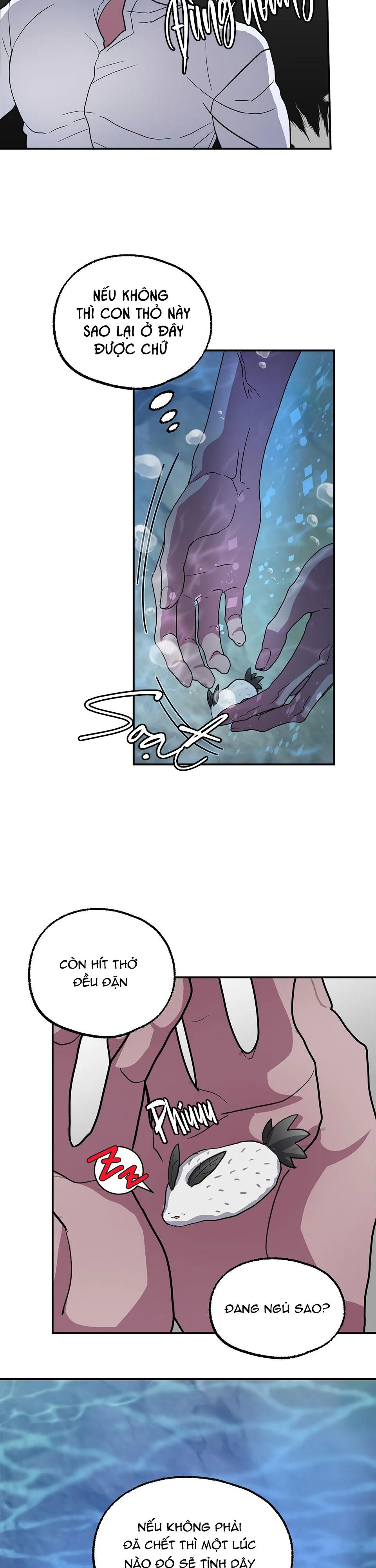 CÁ MẬP VÀ CÔ DÂU THỎ Chapter 1 Trang 20