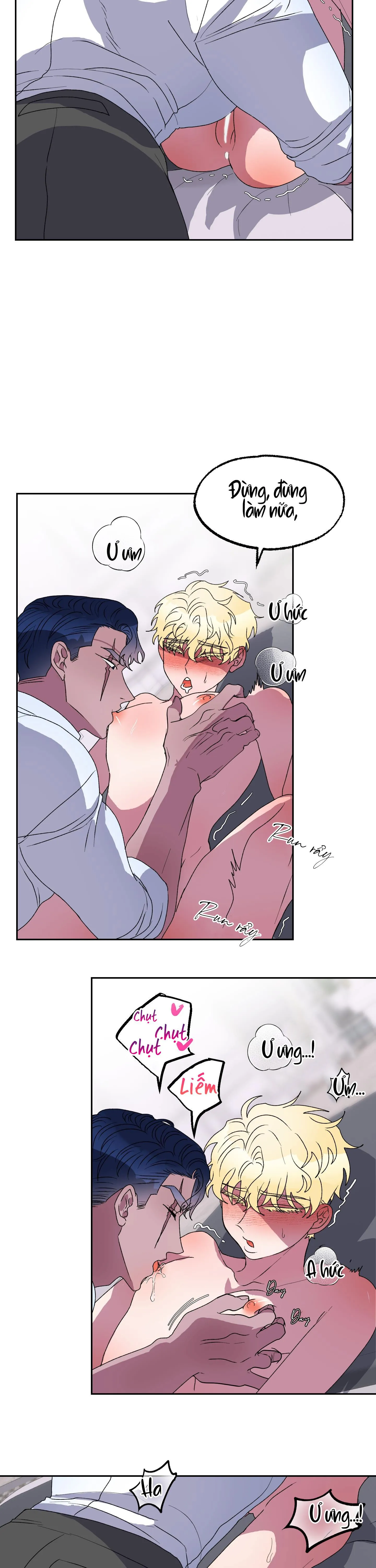 CÁ MẬP VÀ CÔ DÂU THỎ Chapter 11 Trang 8