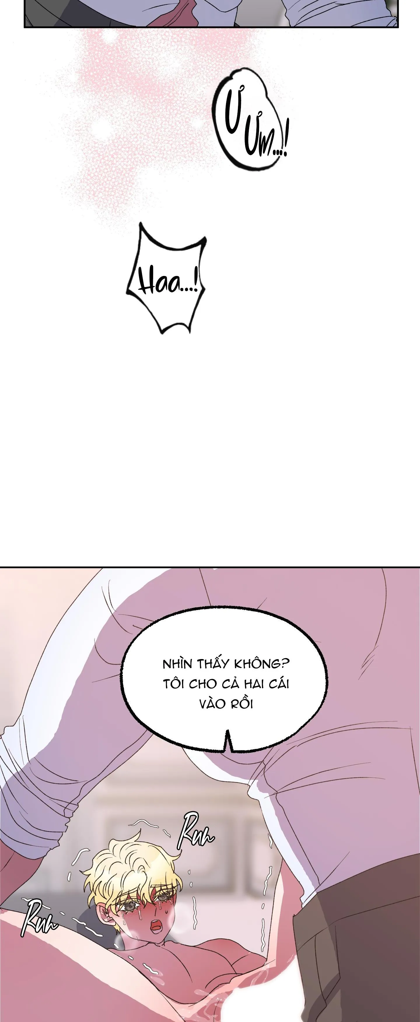 CÁ MẬP VÀ CÔ DÂU THỎ Chapter 12 Trang 12