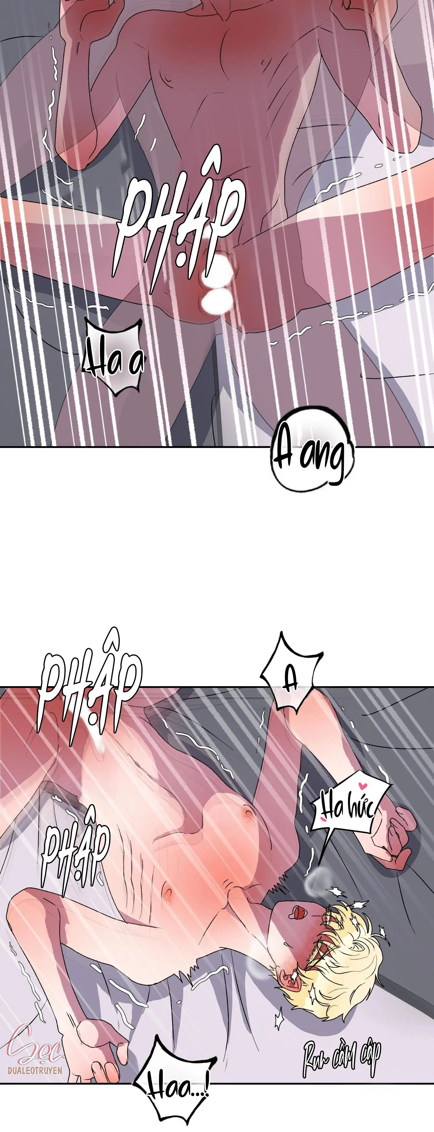 CÁ MẬP VÀ CÔ DÂU THỎ Chapter 12 Trang 29