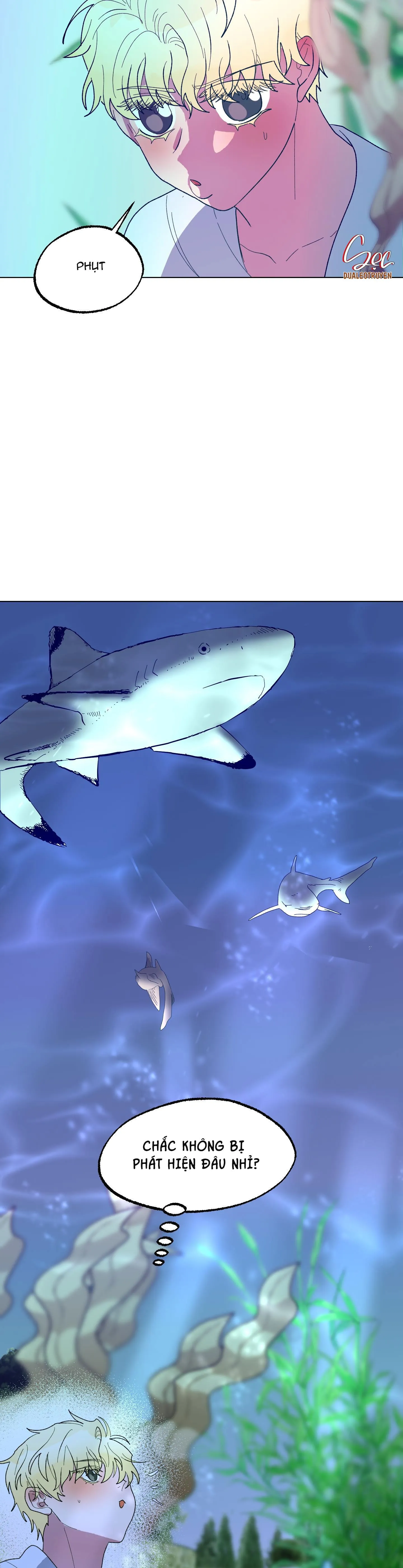 CÁ MẬP VÀ CÔ DÂU THỎ Chapter 14 Trang 7