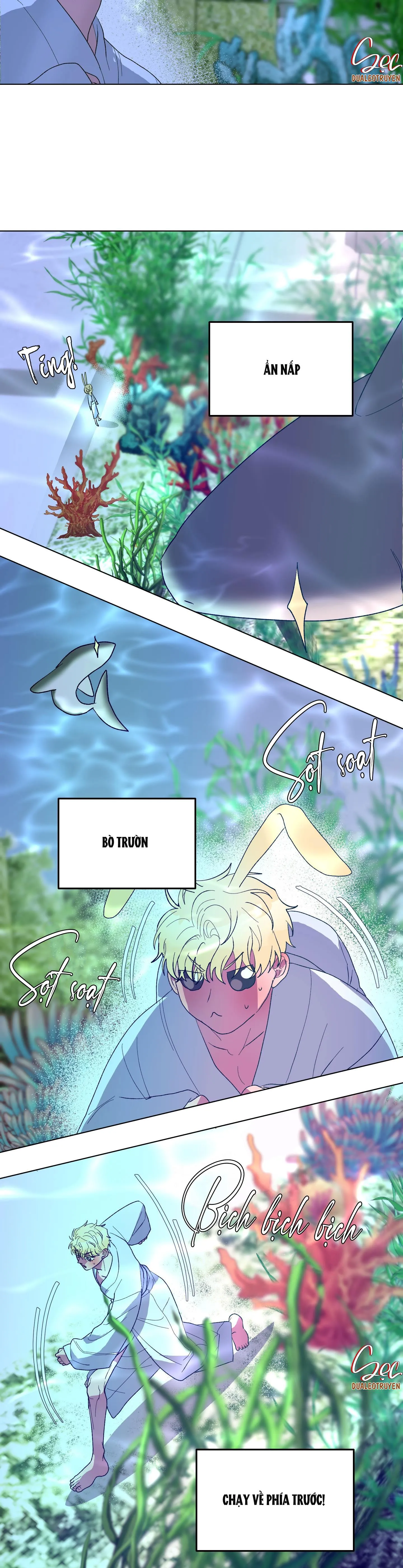 CÁ MẬP VÀ CÔ DÂU THỎ Chapter 14 Trang 8