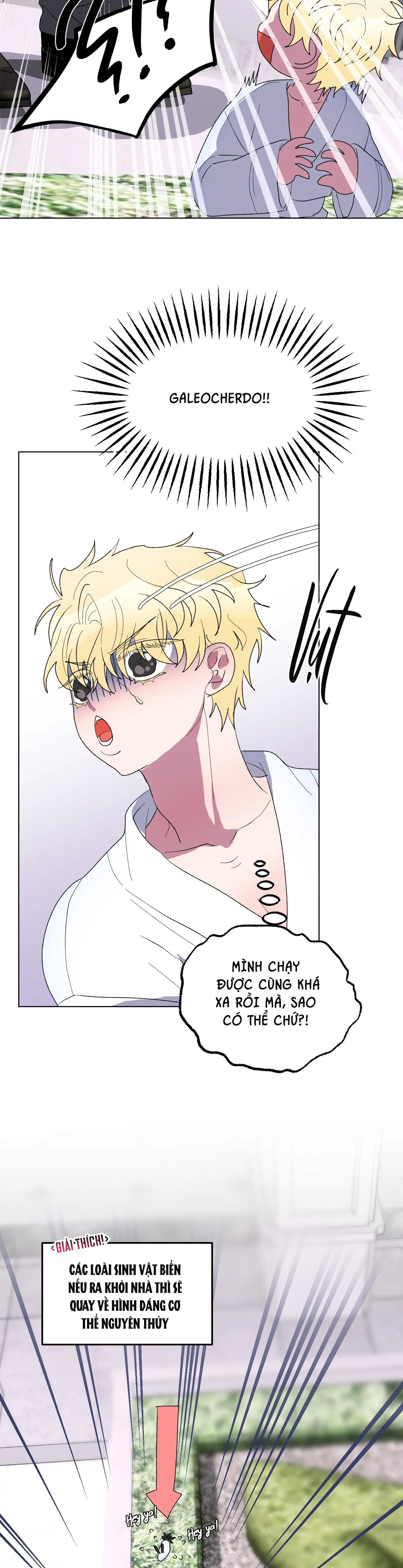 CÁ MẬP VÀ CÔ DÂU THỎ Chapter 14 Trang 15