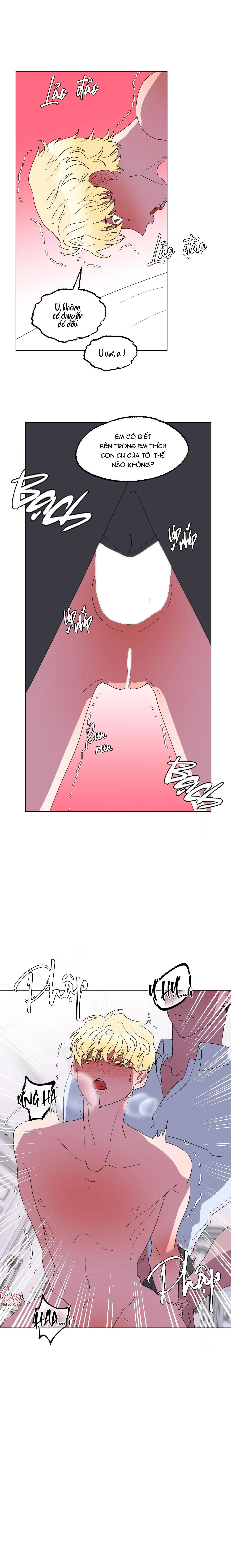 CÁ MẬP VÀ CÔ DÂU THỎ Chapter 16 Trang 4