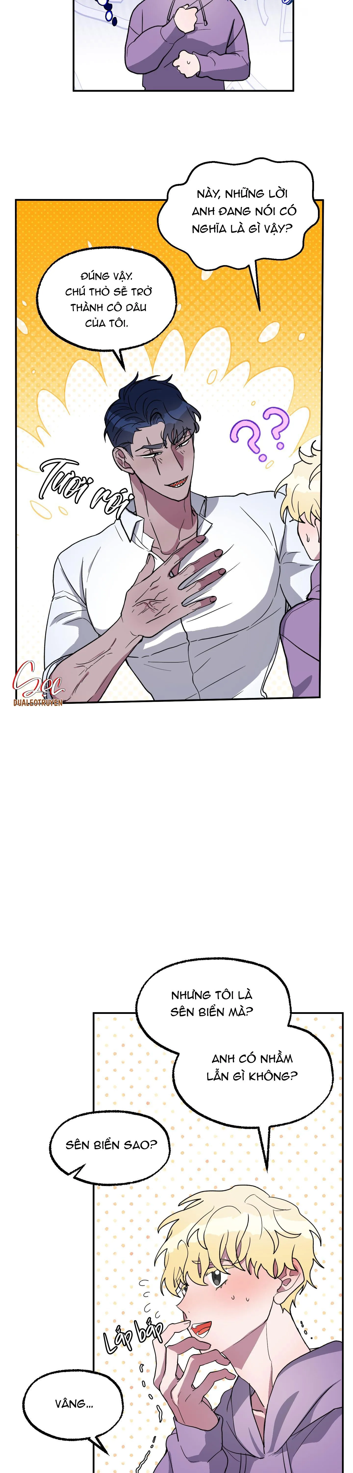 CÁ MẬP VÀ CÔ DÂU THỎ Chapter 2 Trang 3