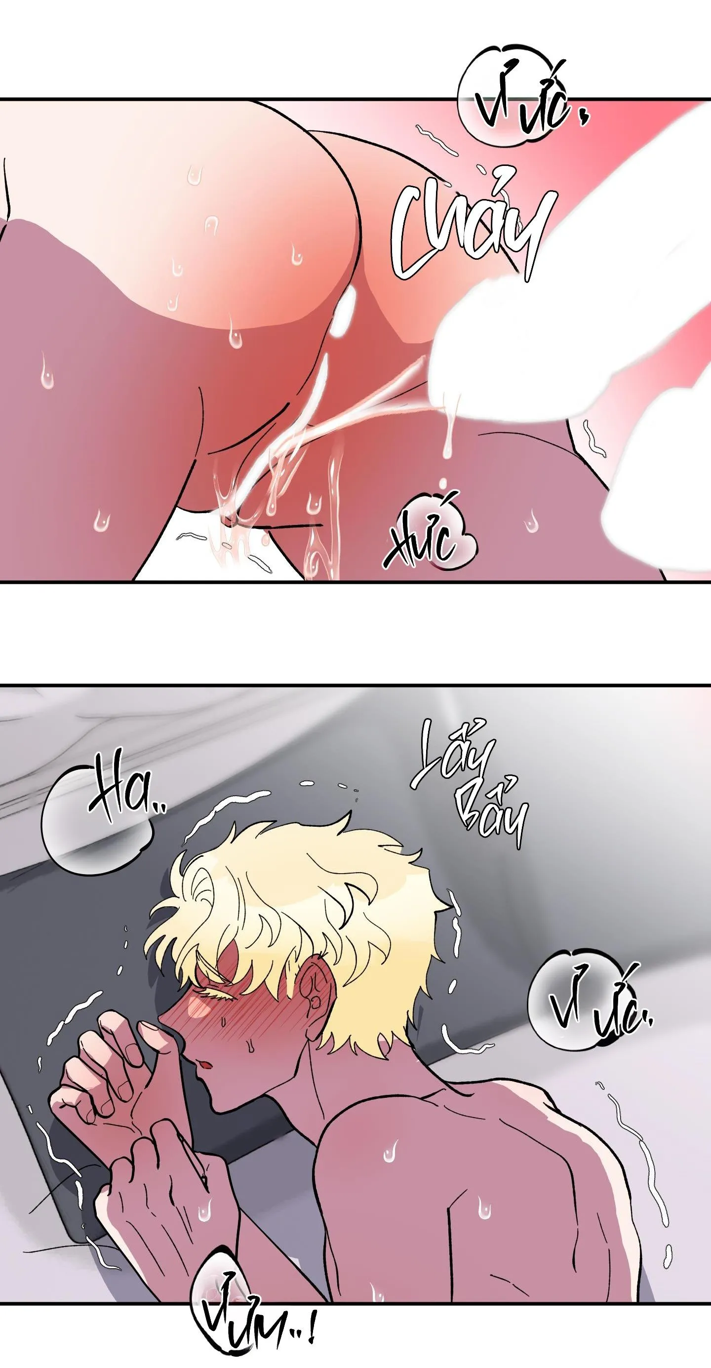 CÁ MẬP VÀ CÔ DÂU THỎ Chapter 25 Trang 27