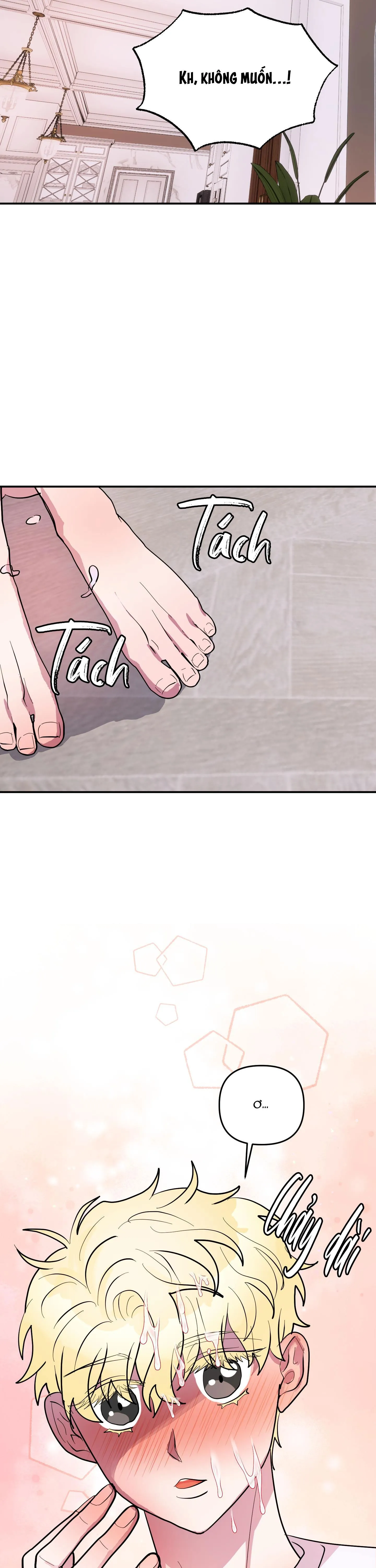 CÁ MẬP VÀ CÔ DÂU THỎ Chapter 31 Trang 11