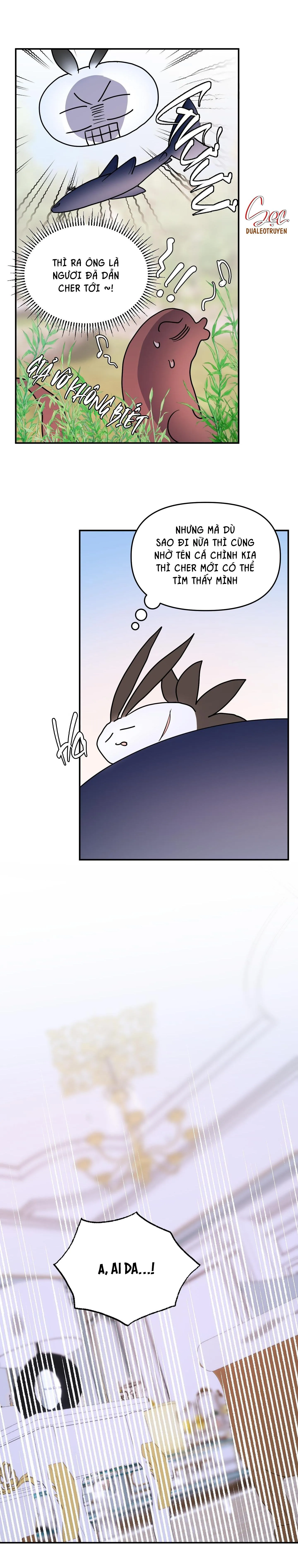 CÁ MẬP VÀ CÔ DÂU THỎ Chapter 35 Trang 12