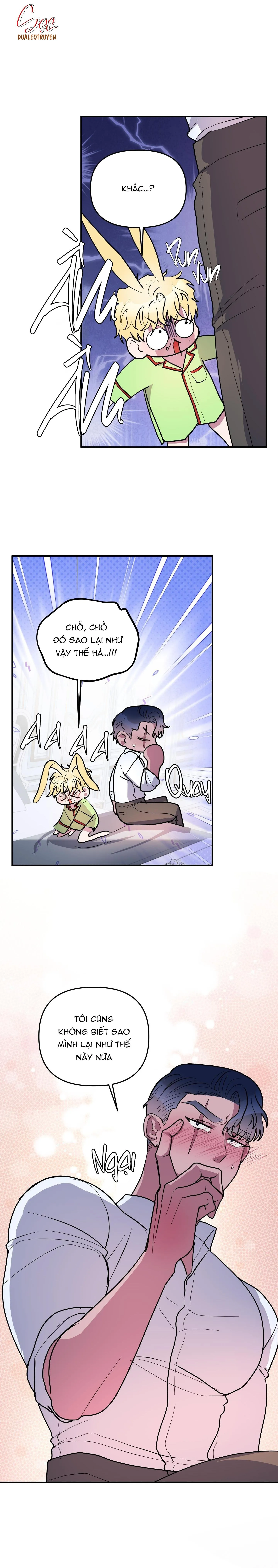 CÁ MẬP VÀ CÔ DÂU THỎ Chapter 35 Trang 18