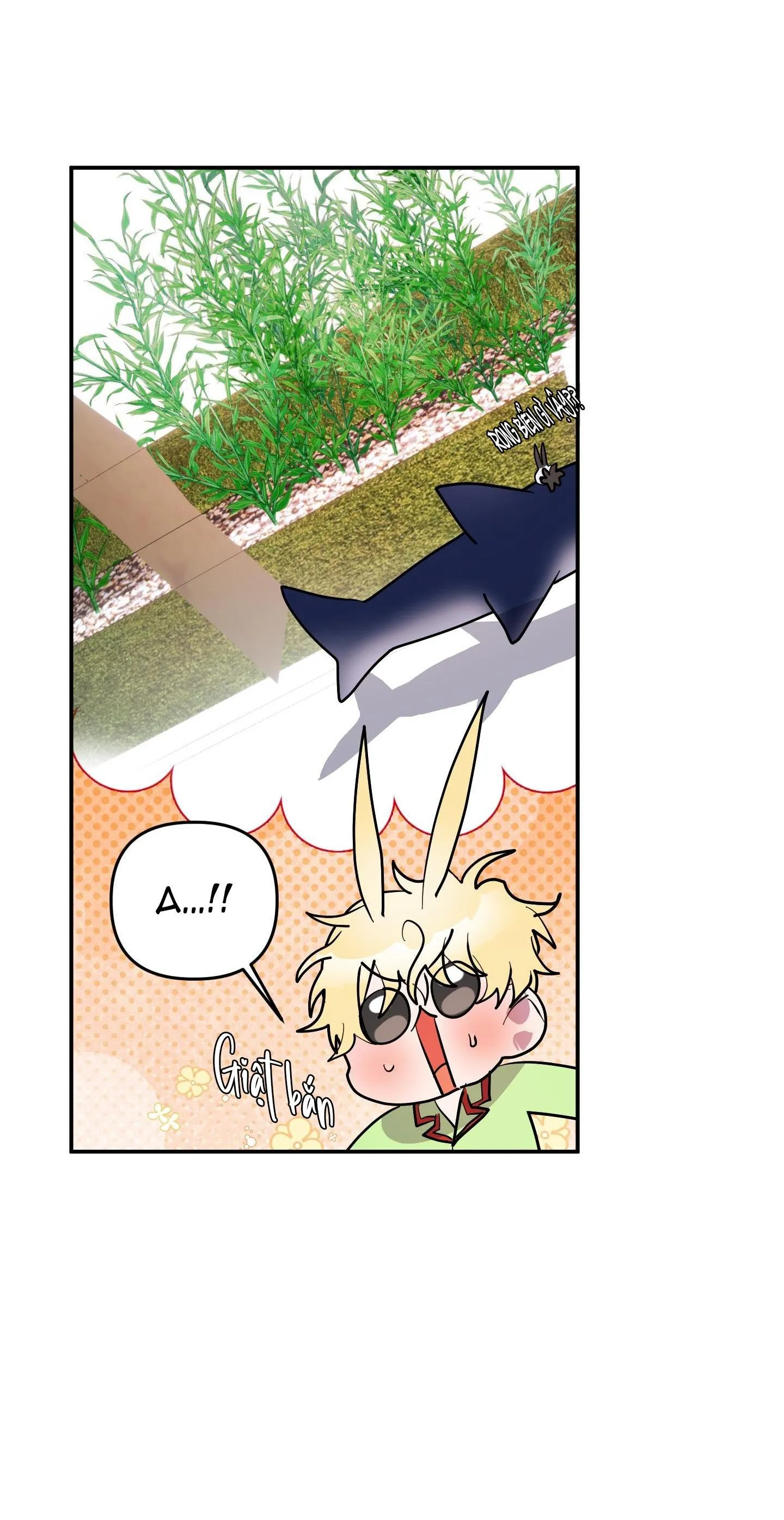 CÁ MẬP VÀ CÔ DÂU THỎ Chapter 37 Trang 28