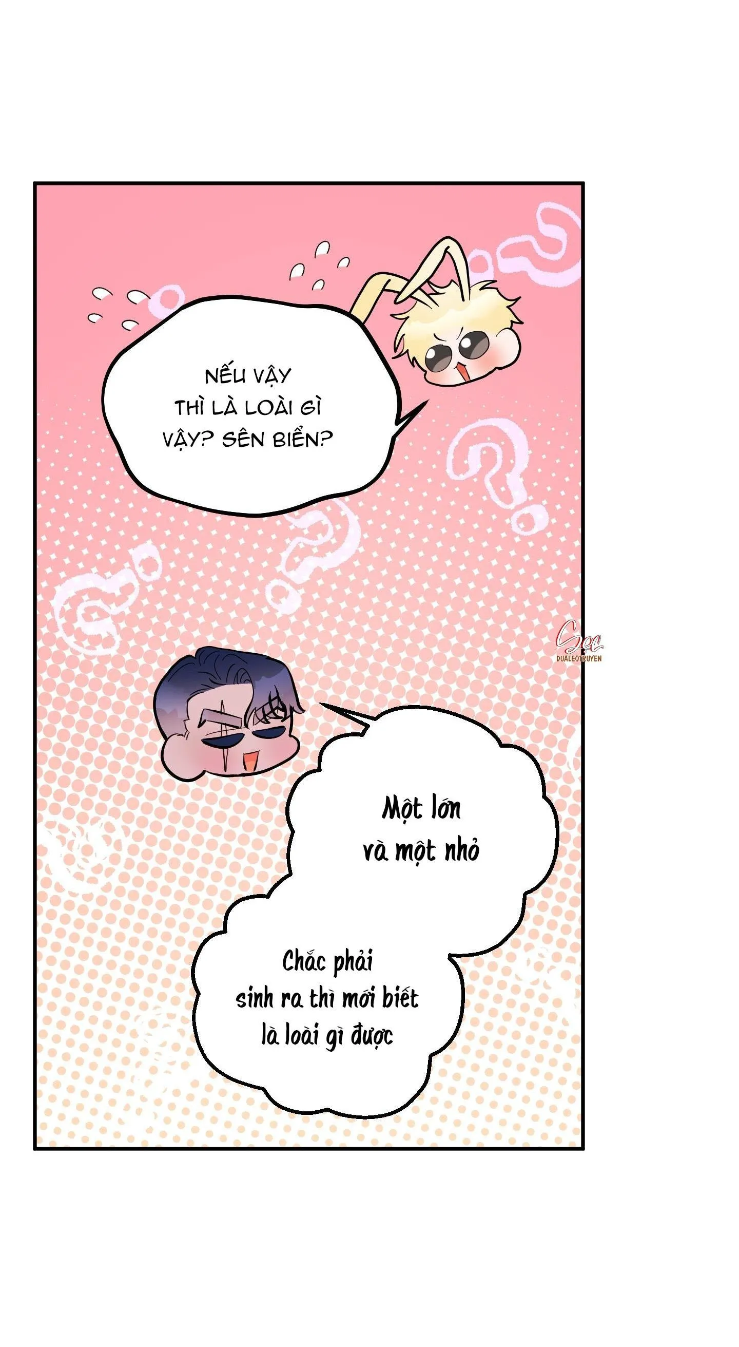 CÁ MẬP VÀ CÔ DÂU THỎ Chapter 39 Trang 5