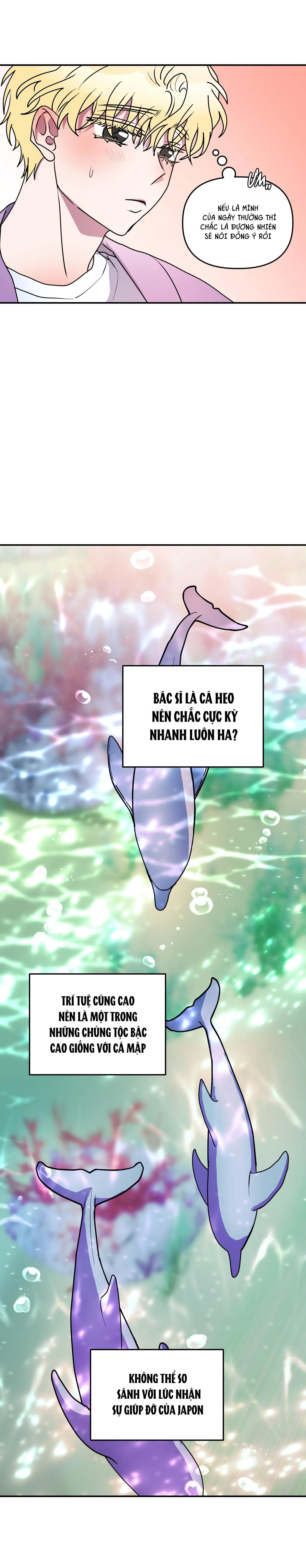 CÁ MẬP VÀ CÔ DÂU THỎ Chapter 47 Trang 32