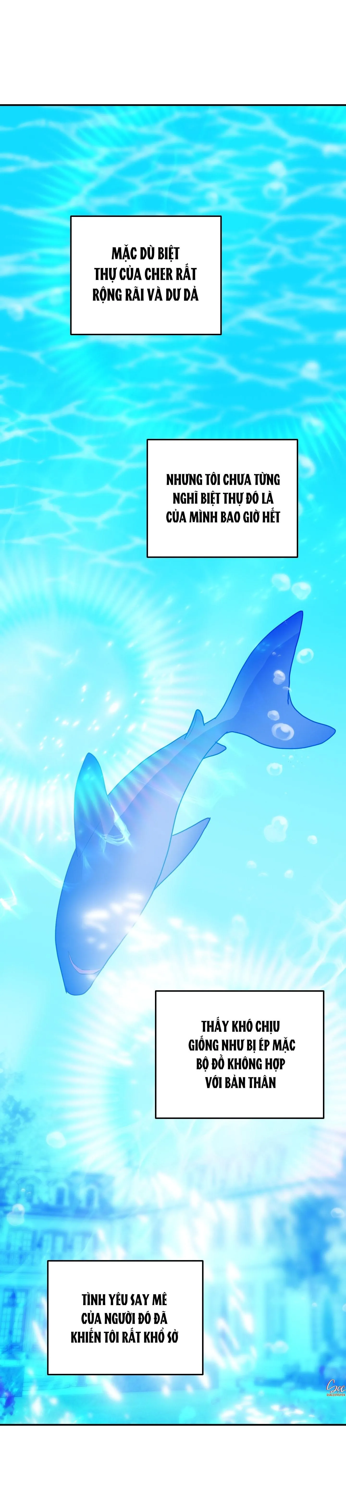 CÁ MẬP VÀ CÔ DÂU THỎ Chapter 47 Trang 51