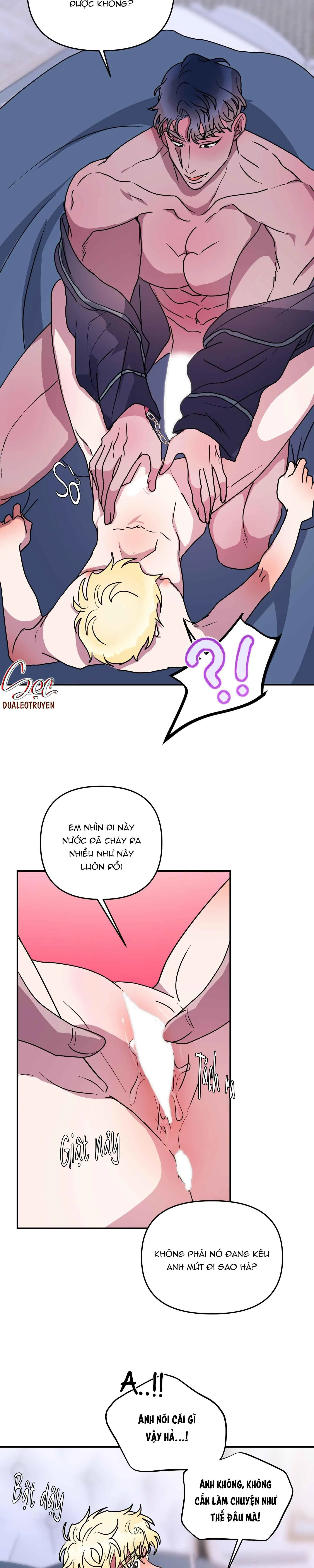 CÁ MẬP VÀ CÔ DÂU THỎ Chapter 49 Trang 12