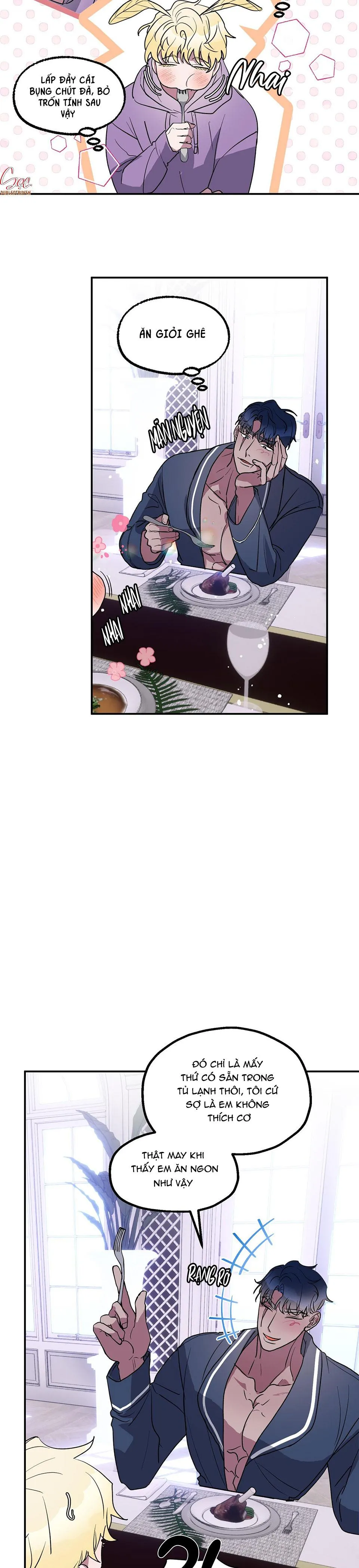 CÁ MẬP VÀ CÔ DÂU THỎ Chapter 5 Trang 3