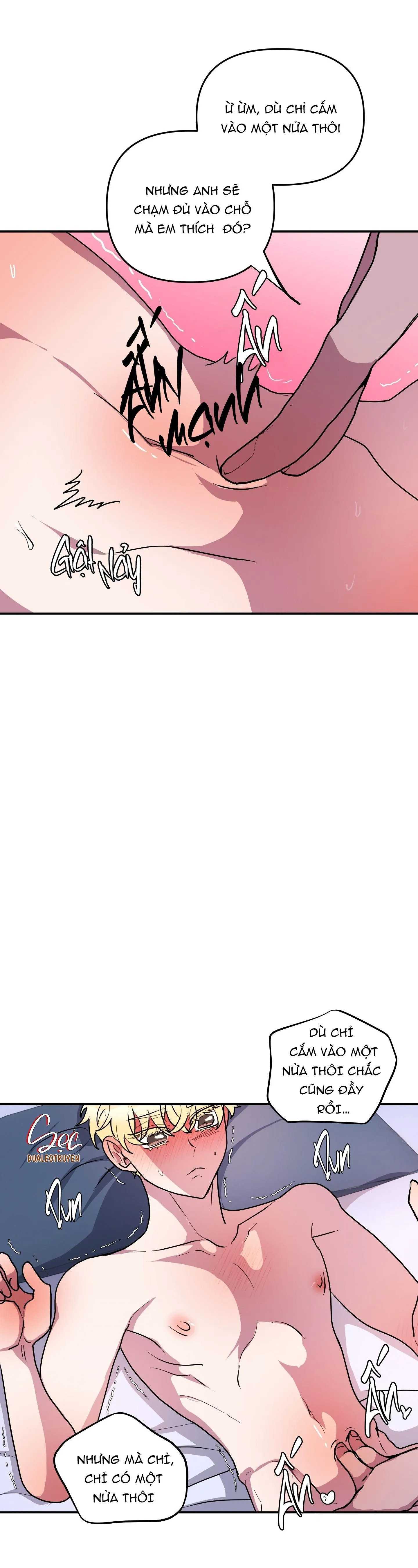 CÁ MẬP VÀ CÔ DÂU THỎ Chapter 50 Trang 7