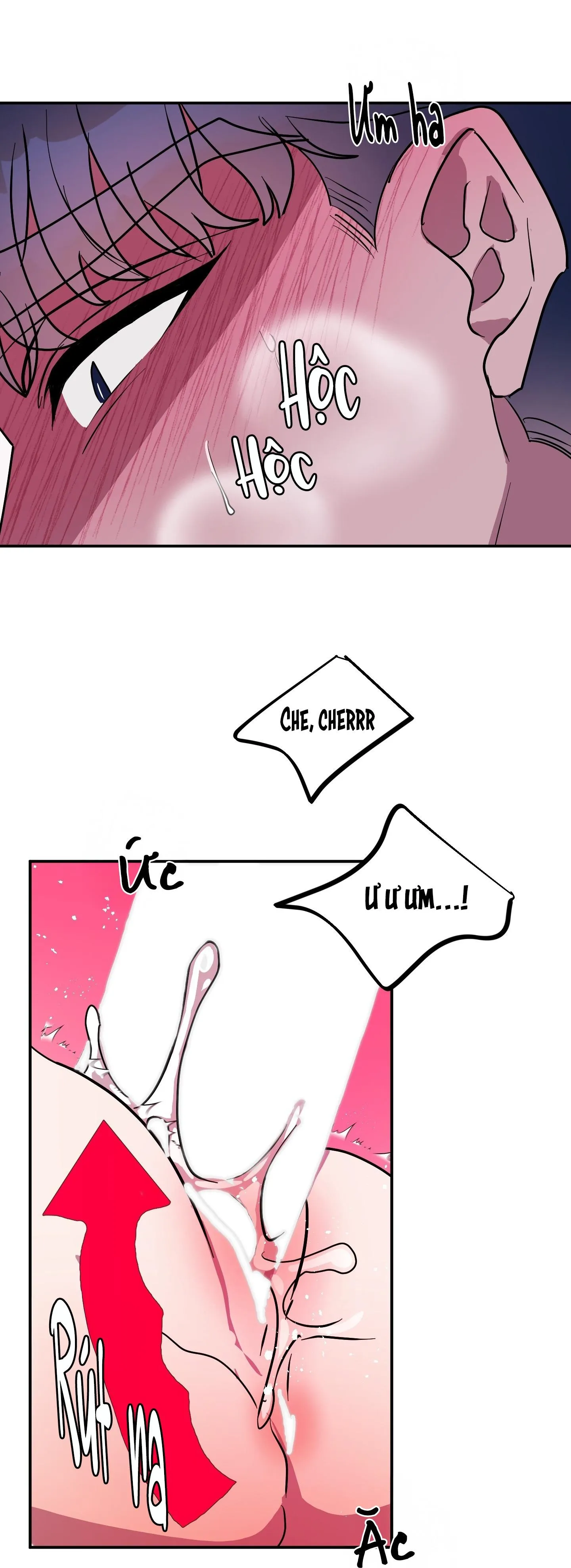 CÁ MẬP VÀ CÔ DÂU THỎ Chapter 51 Trang 3