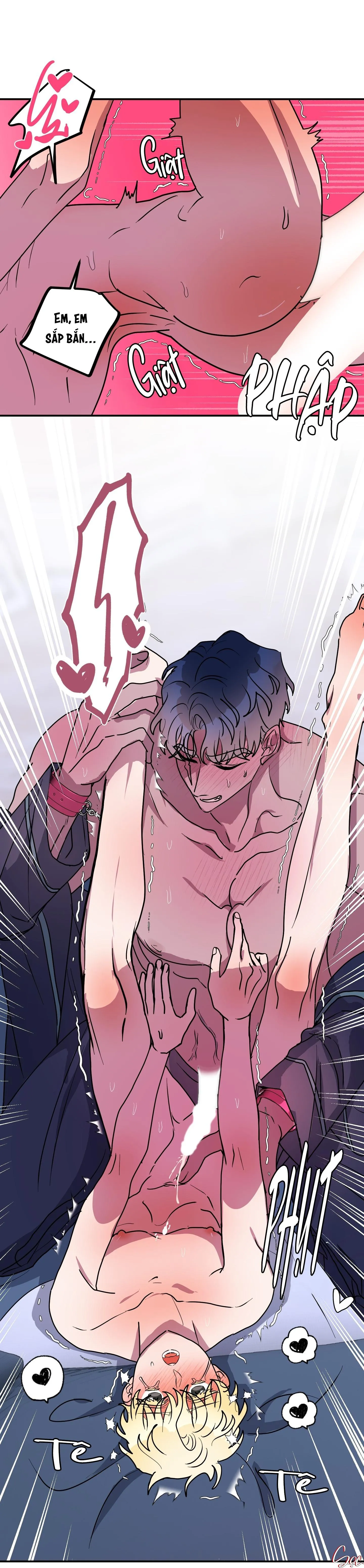 CÁ MẬP VÀ CÔ DÂU THỎ Chapter 51 Trang 17