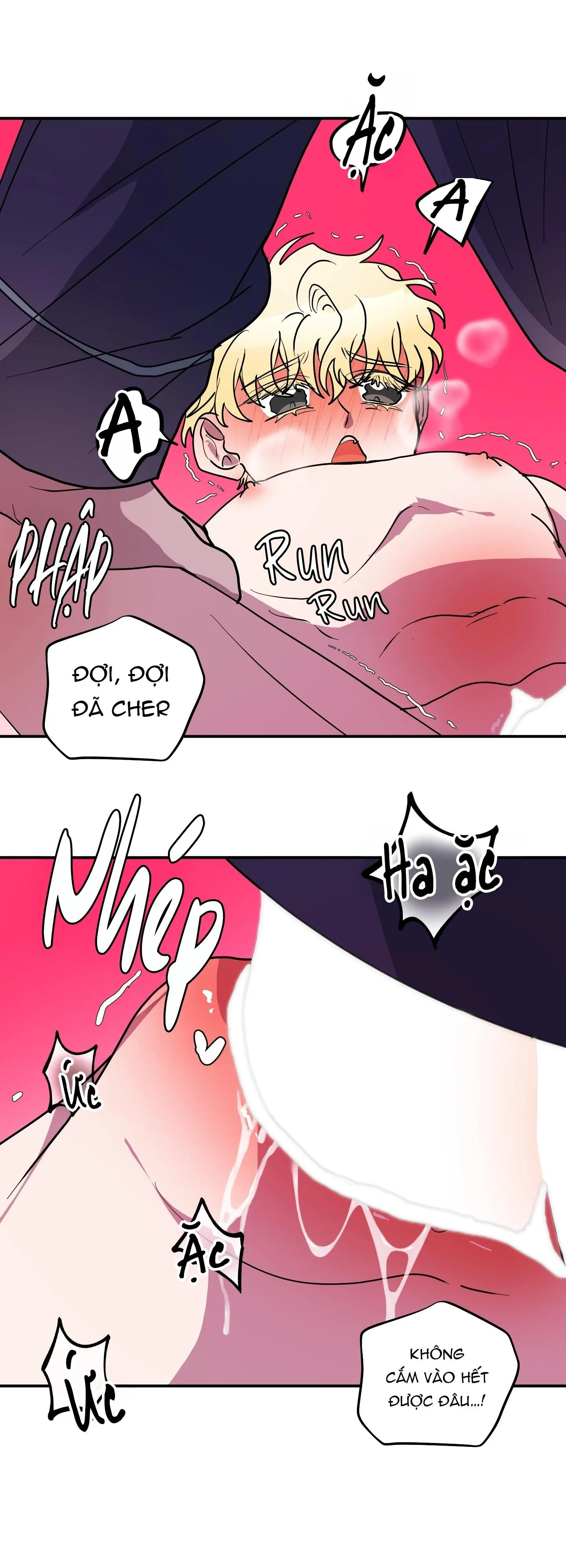 CÁ MẬP VÀ CÔ DÂU THỎ Chapter 51 Trang 29