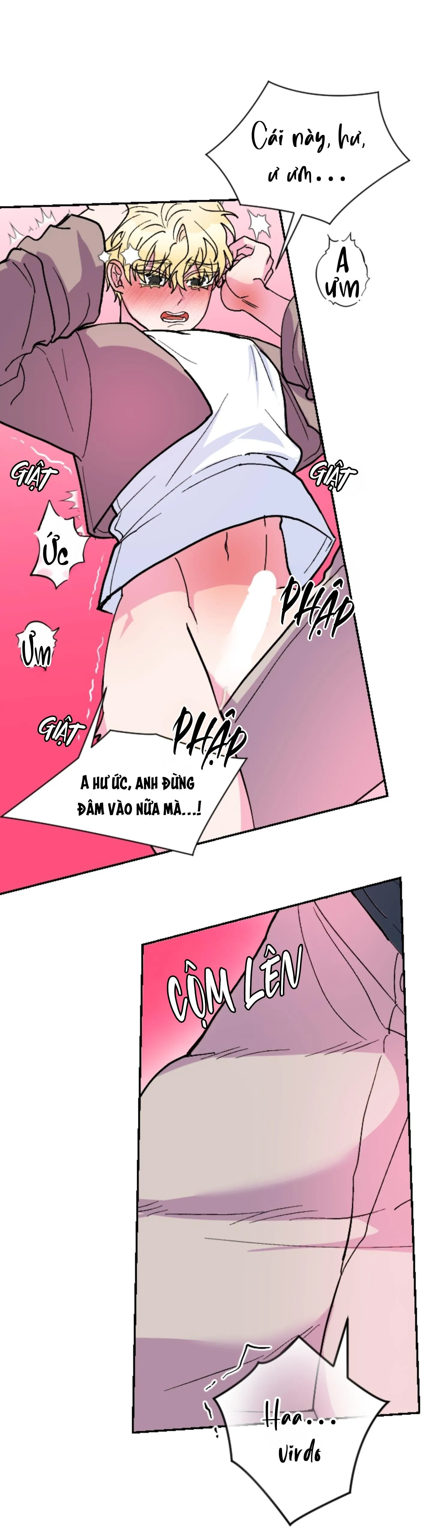 CÁ MẬP VÀ CÔ DÂU THỎ Chapter 55 Trang 41