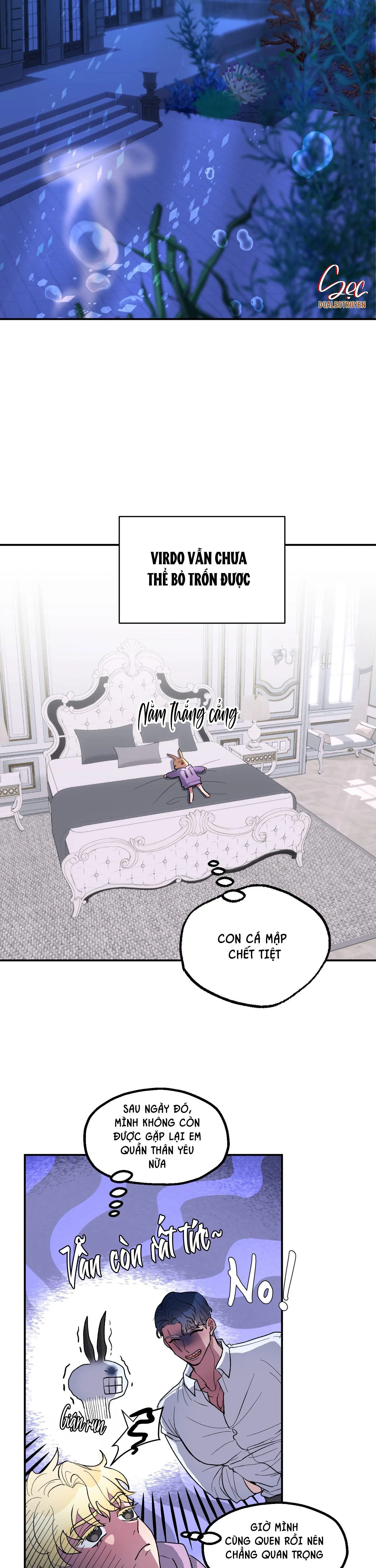 CÁ MẬP VÀ CÔ DÂU THỎ Chapter 6 Trang 11