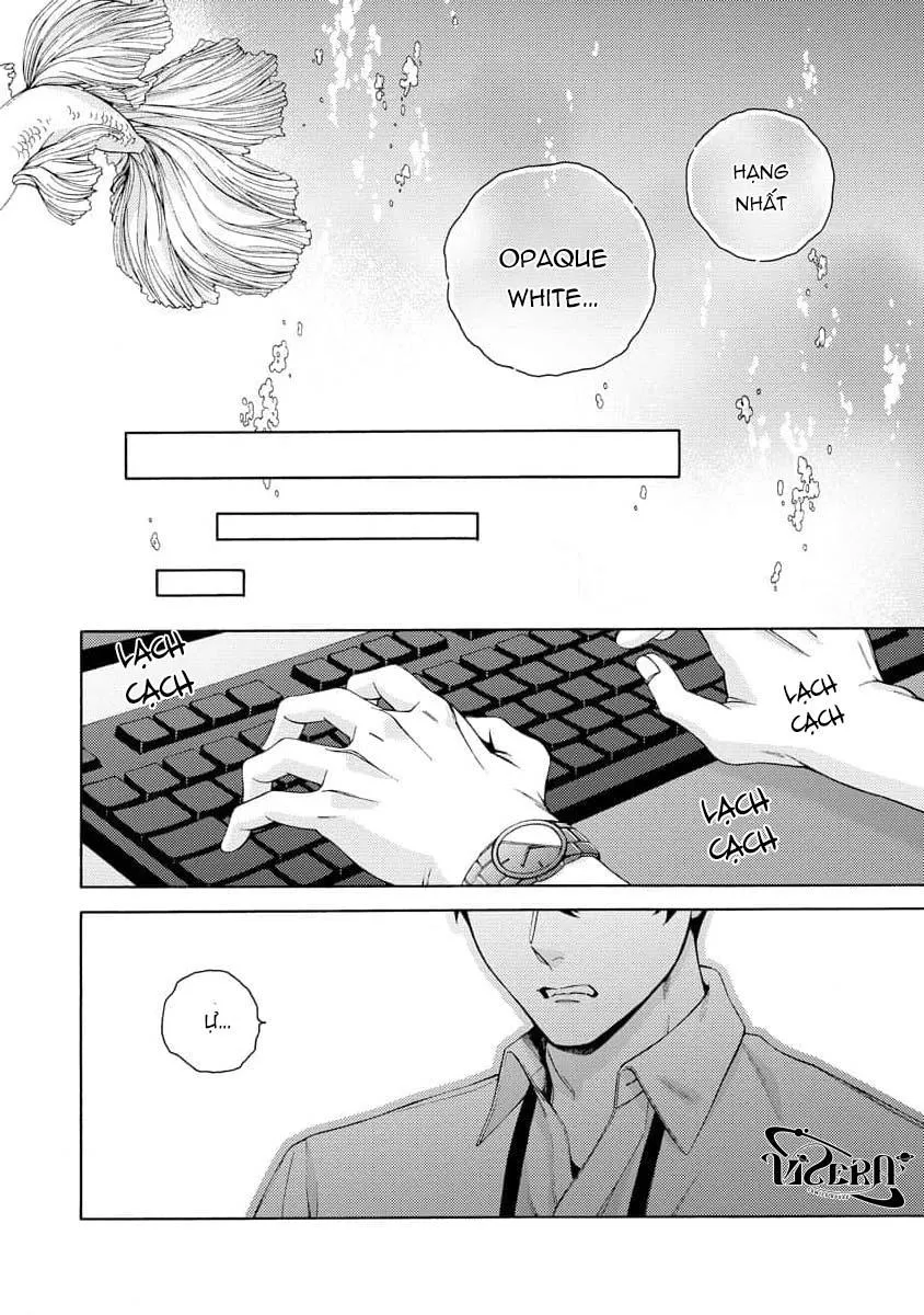 Cá Nhiệt Đới Trong Vườn Cảnh Nhỏ Chapter 1 Trang 30