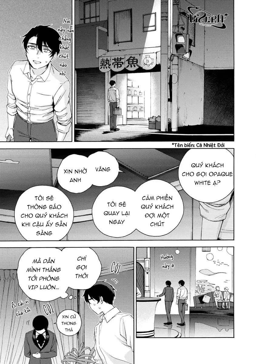 Cá Nhiệt Đới Trong Vườn Cảnh Nhỏ Chapter 1 Trang 33