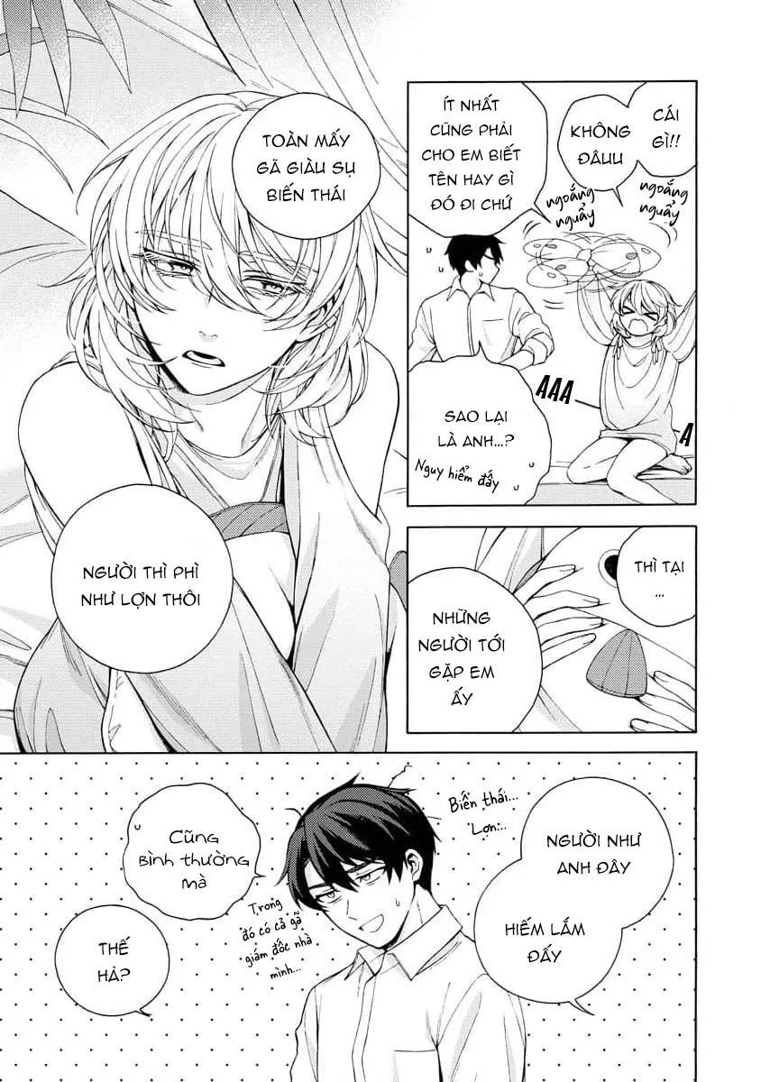 Cá Nhiệt Đới Trong Vườn Cảnh Nhỏ Chapter 2 Trang 7