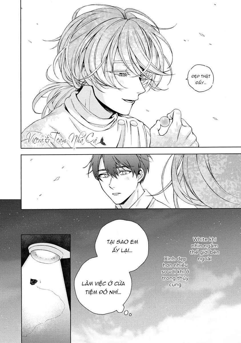 Cá Nhiệt Đới Trong Vườn Cảnh Nhỏ Chapter 2 Trang 26