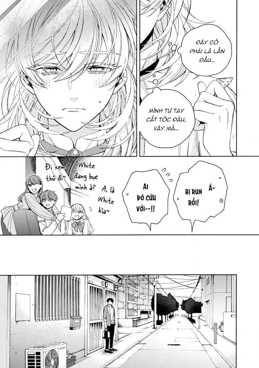 Cá Nhiệt Đới Trong Vườn Cảnh Nhỏ Chapter 3 Trang 13