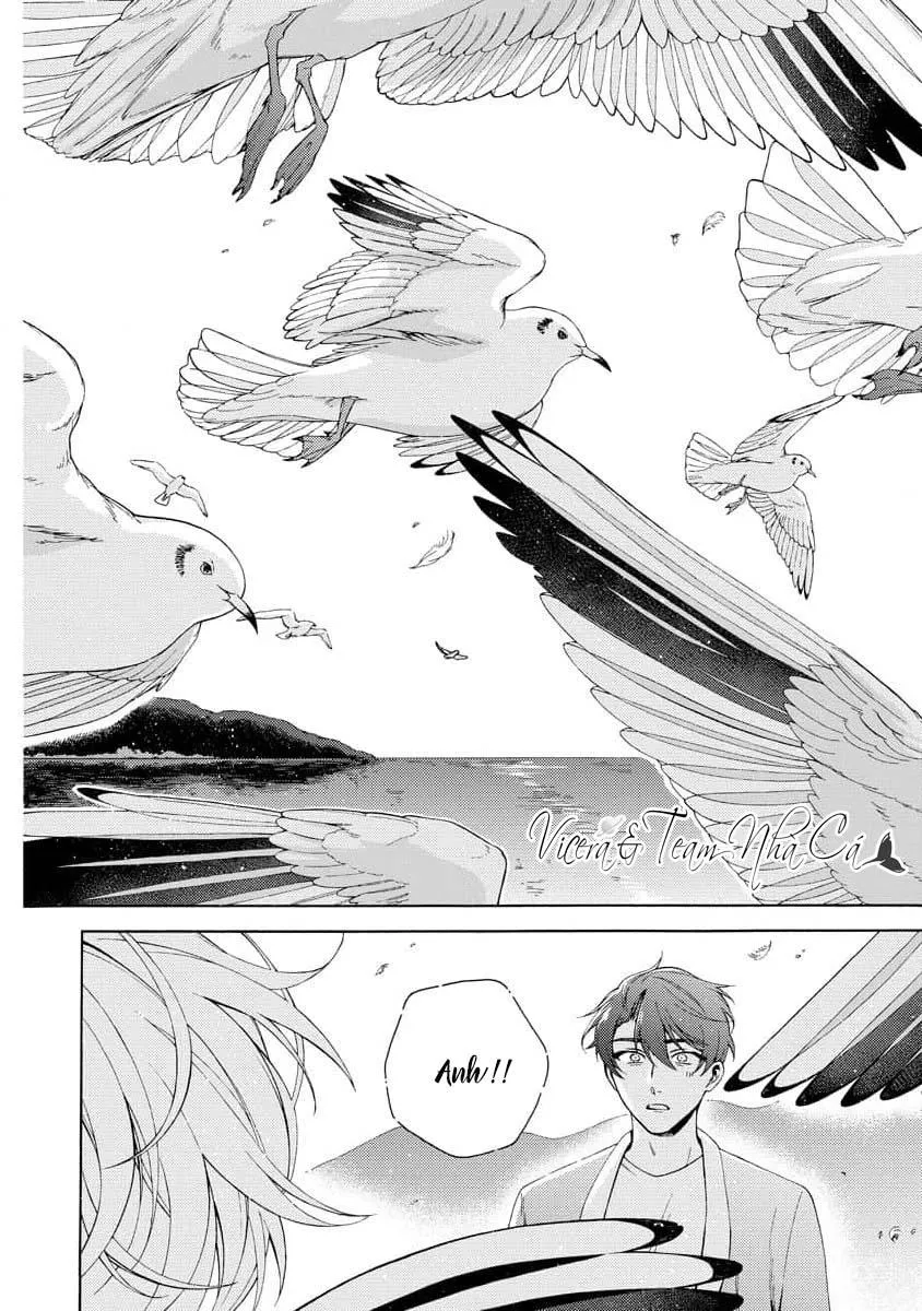 Cá Nhiệt Đới Trong Vườn Cảnh Nhỏ Chapter 3 Trang 22