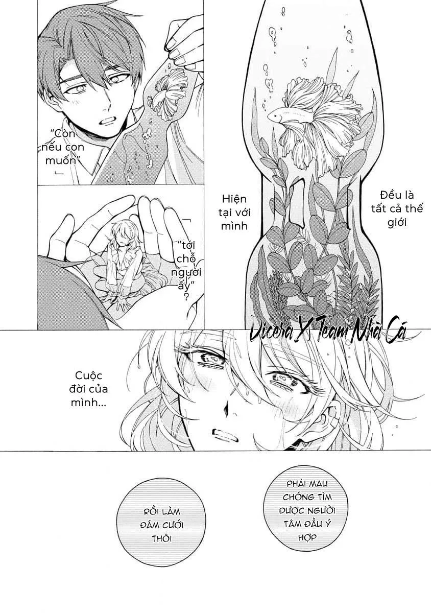 Cá Nhiệt Đới Trong Vườn Cảnh Nhỏ Chapter 4 Trang 8