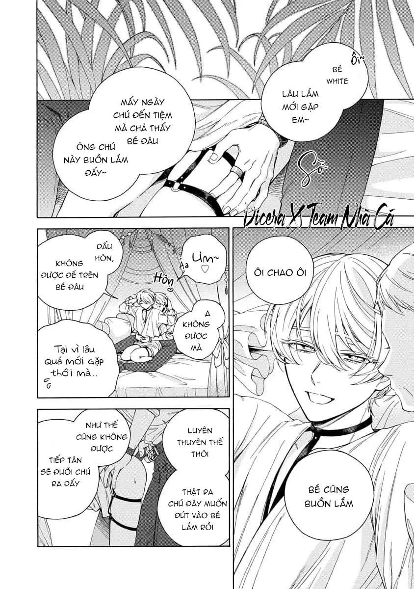 Cá Nhiệt Đới Trong Vườn Cảnh Nhỏ Chapter 4 Trang 12