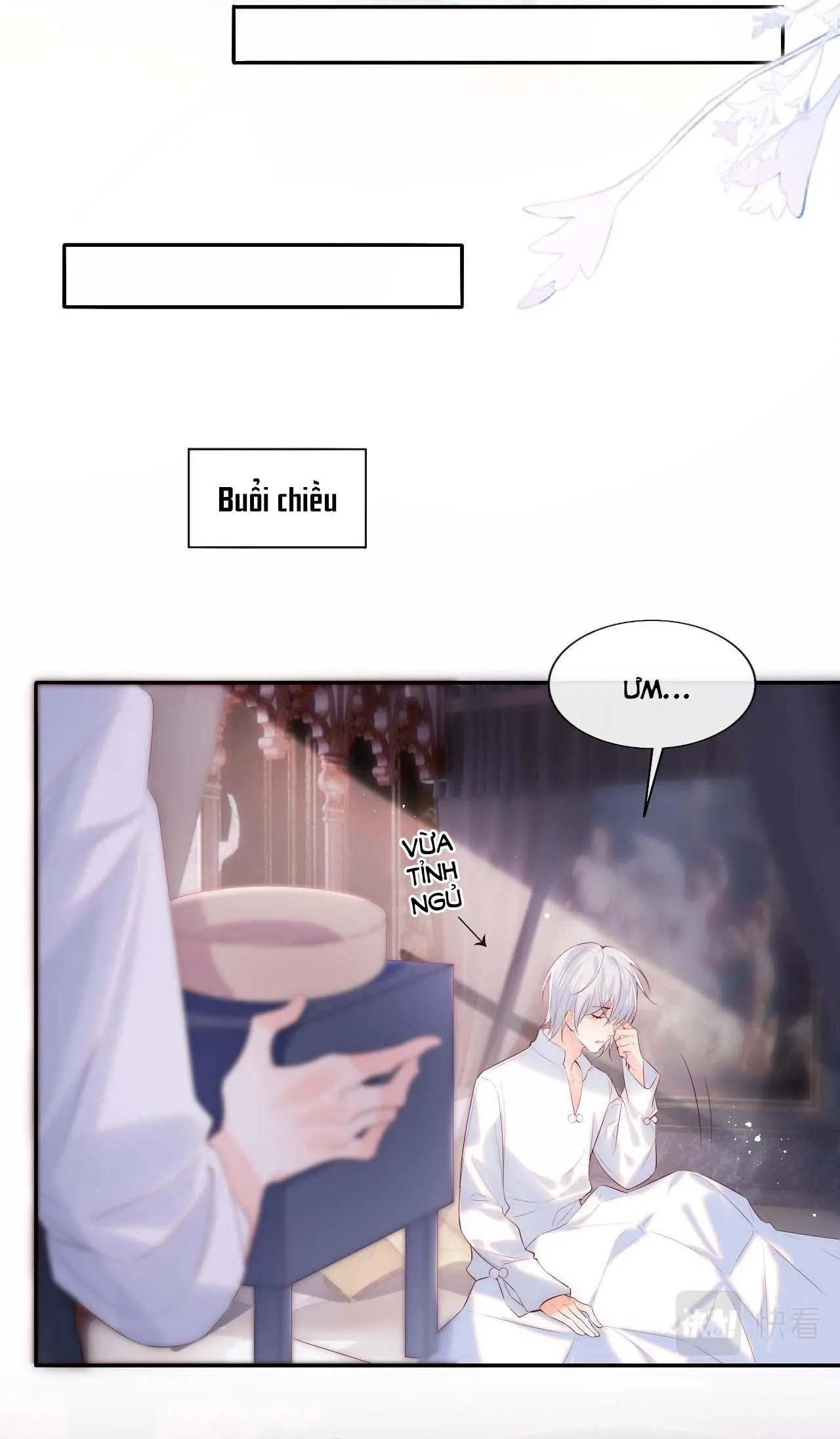 Các nguyên soái đồng loạt đòi ly hôn Chapter 17 Trang 8