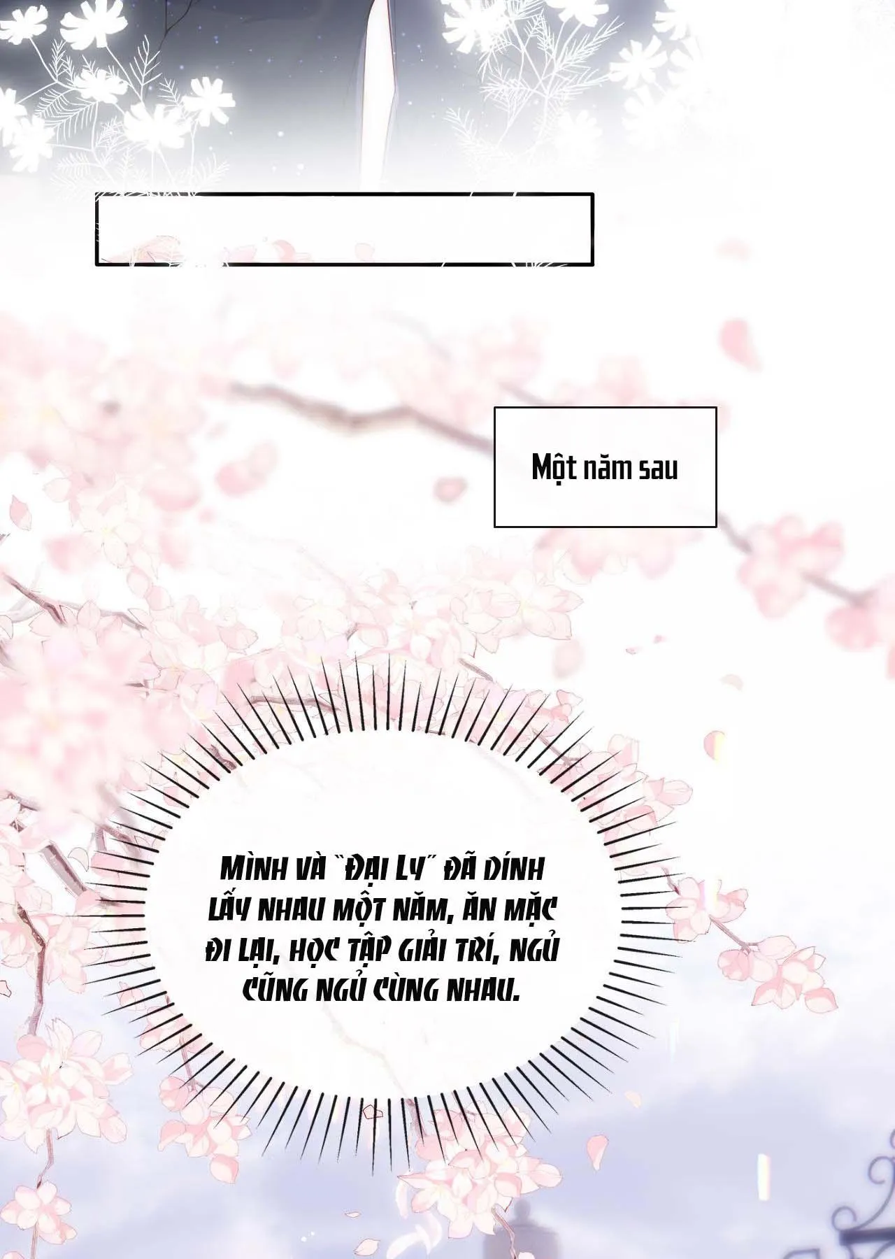 Các nguyên soái đồng loạt đòi ly hôn Chapter 19 Trang 15