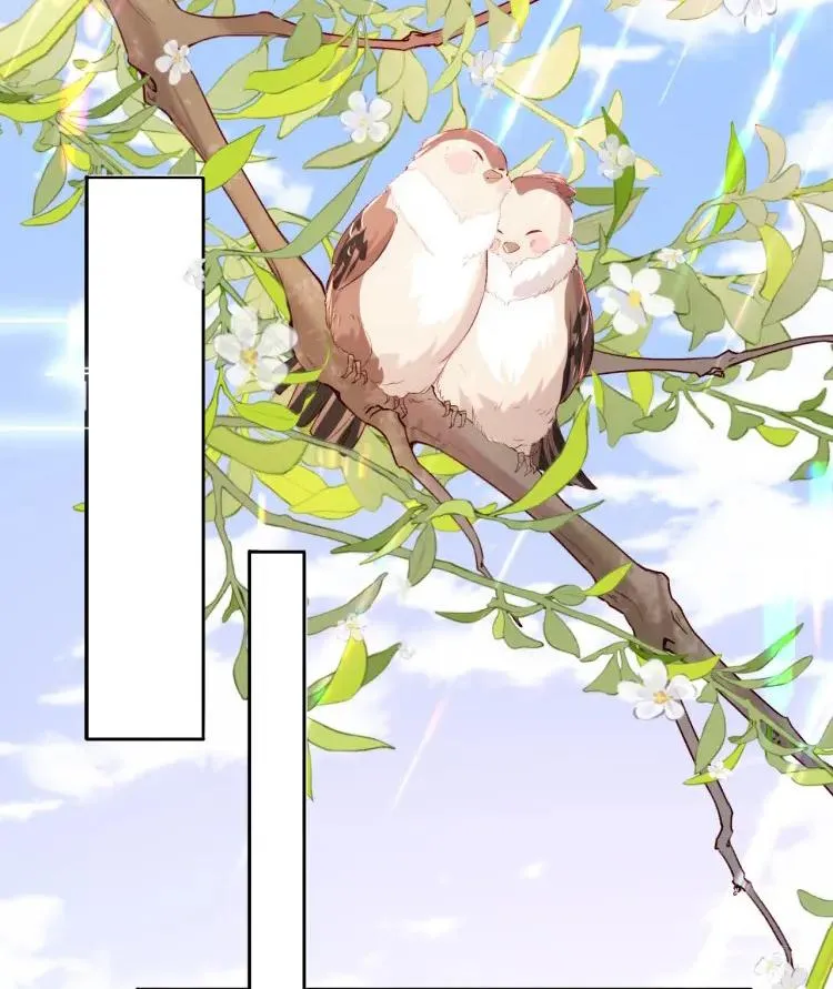 Các nguyên soái đồng loạt đòi ly hôn Chapter 2 Trang 31