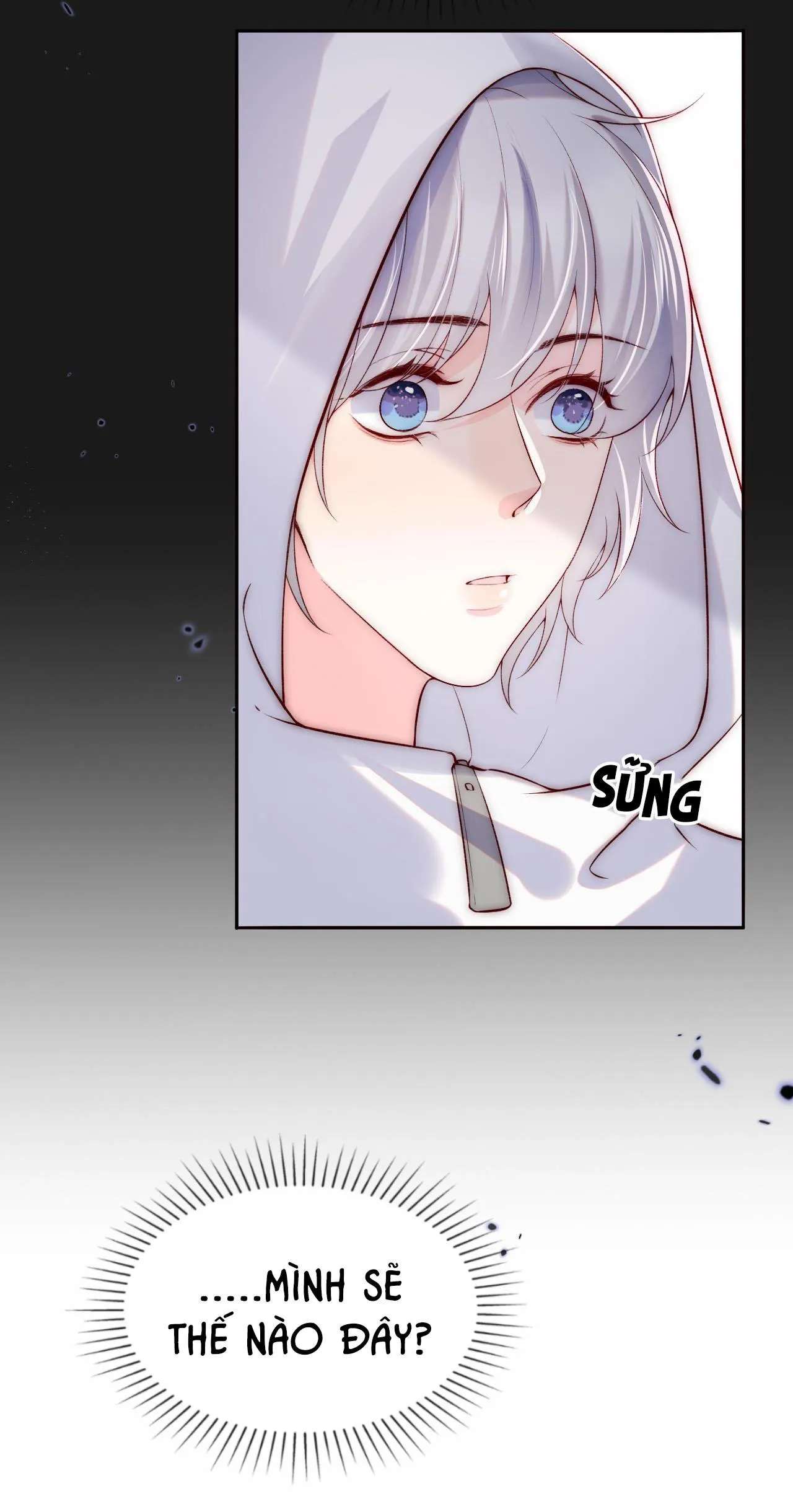 Các nguyên soái đồng loạt đòi ly hôn Chapter 25 Trang 11