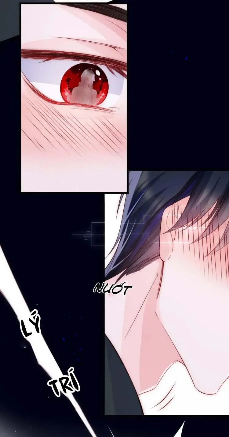 Các nguyên soái đồng loạt đòi ly hôn Chapter 5 Trang 11