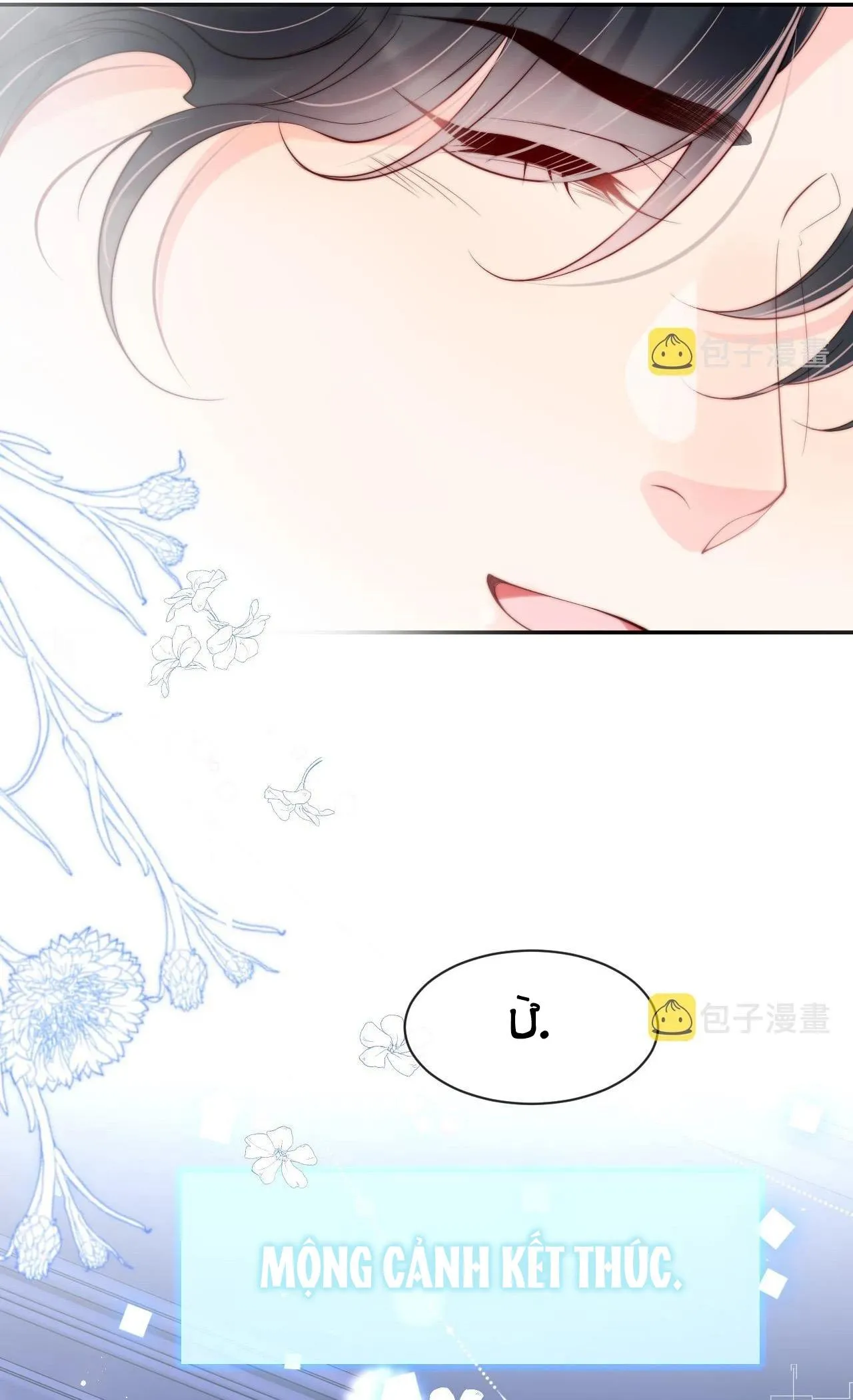 Các nguyên soái đồng loạt đòi ly hôn Chapter 52 Trang 23