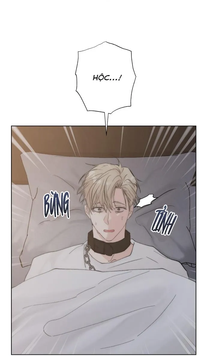 CÁCH GIẾT CHẾT MỘT TÌNH YÊU Chapter 2 Trang 46