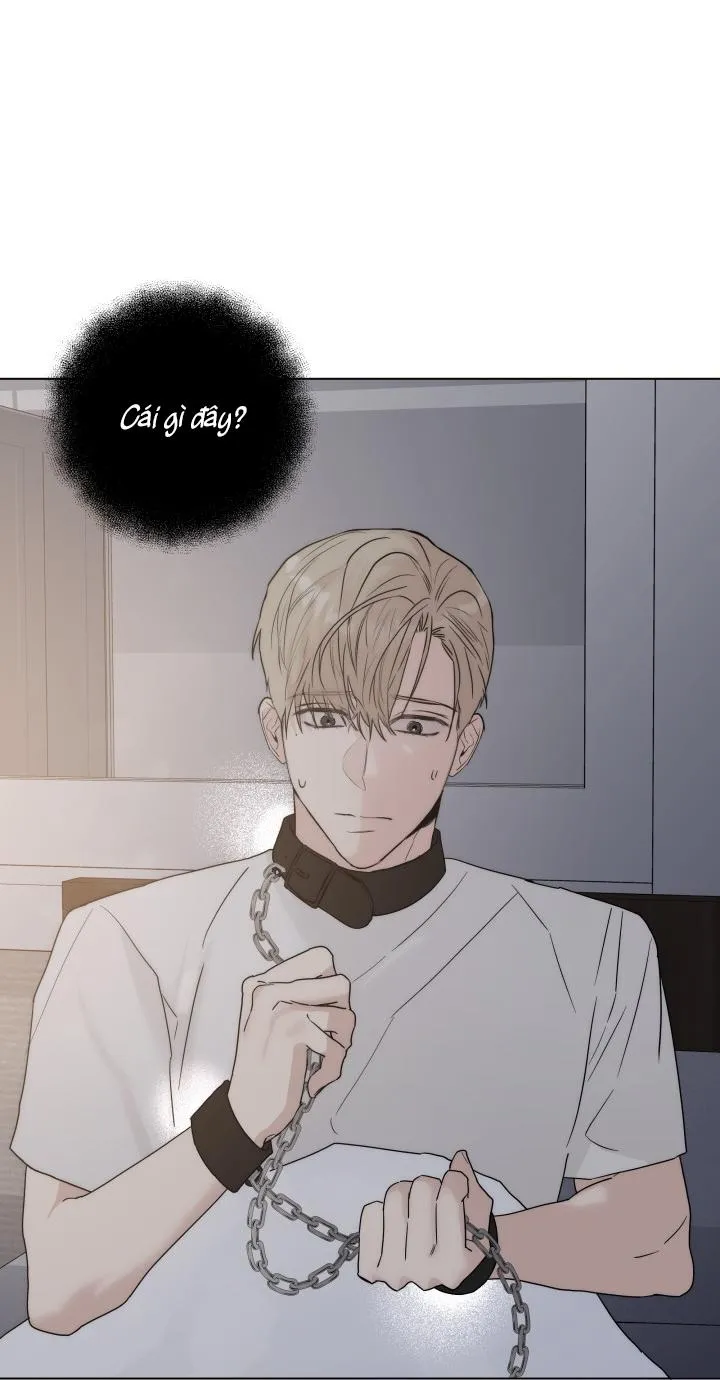 CÁCH GIẾT CHẾT MỘT TÌNH YÊU Chapter 2 Trang 48