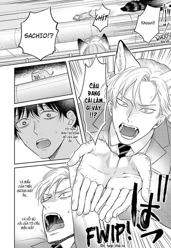 Cách Khiến một OMEGA quyến rũ phải kêu lên rên rỉ Chapter 5 Trang 27