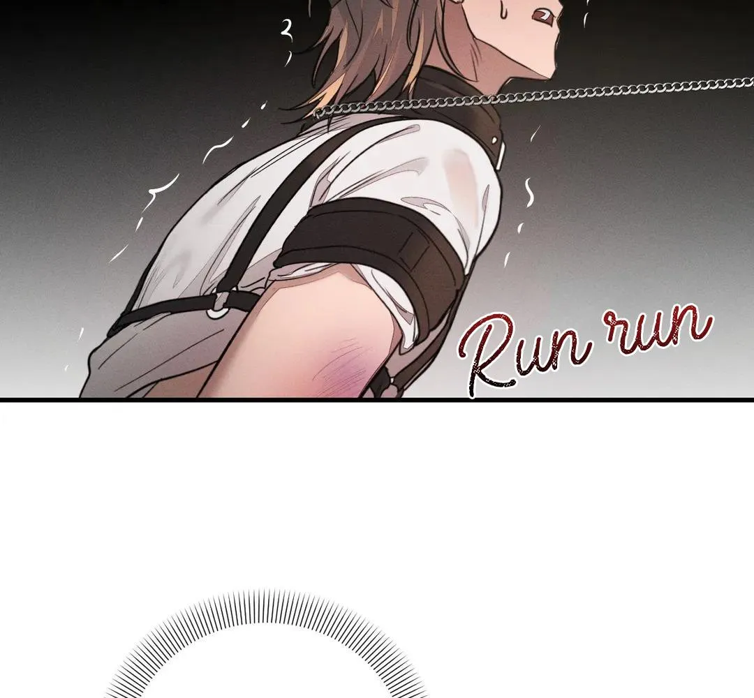 CÁCH NUÔI MỘT CHÚ CHÓ Chapter 2 Trang 60