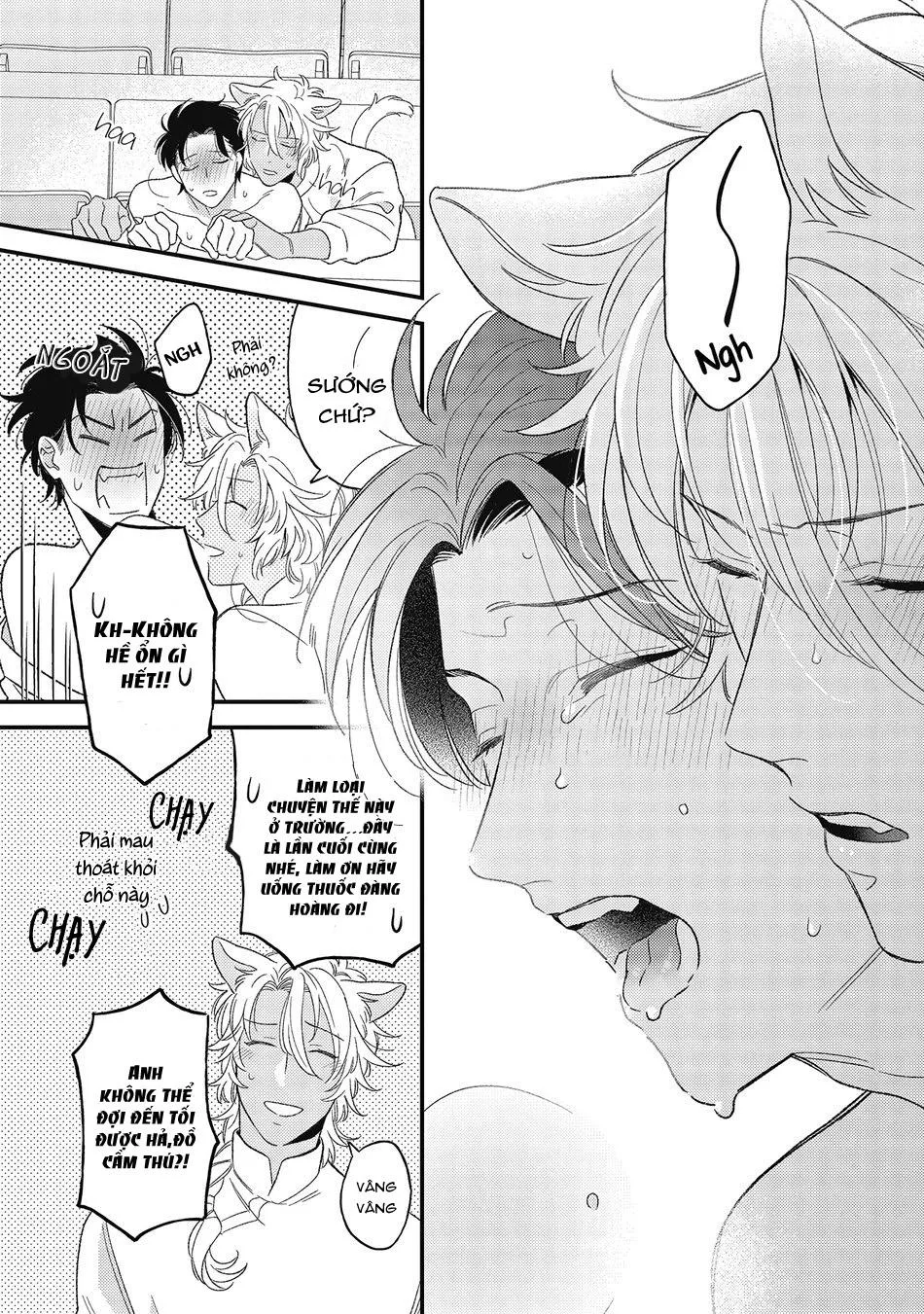 Cách yêu một nhân thú gắt gỏng Chapter 4 Trang 32