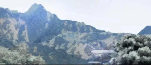 Caddie của riêng tôi Chapter 1 Trang 20