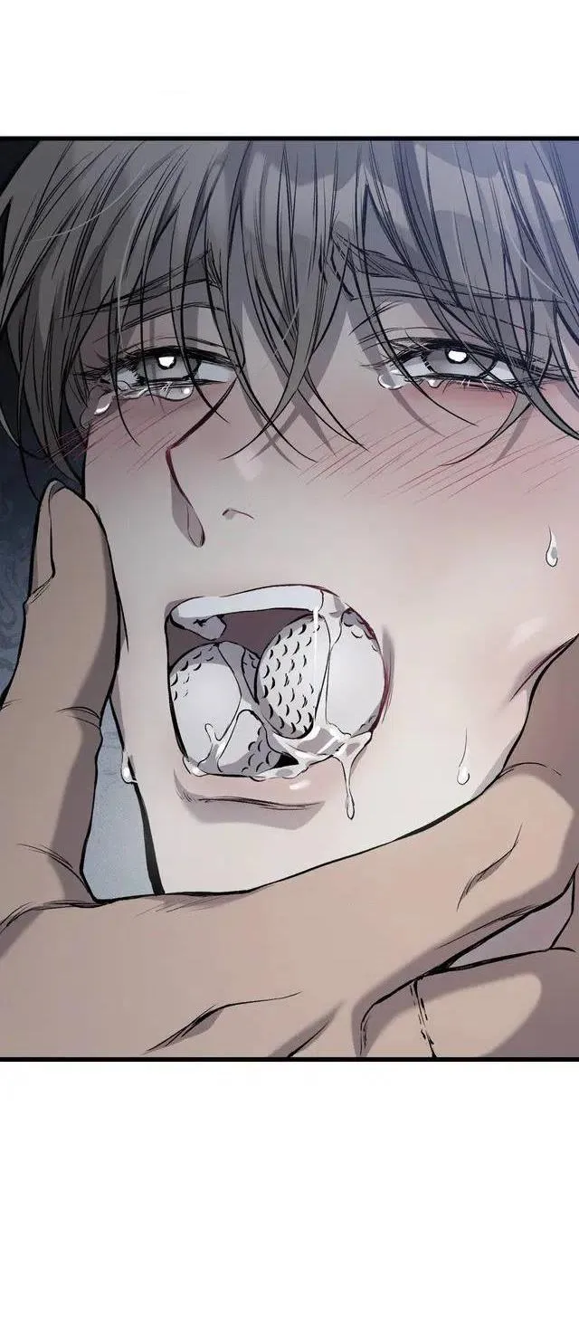 Caddie của riêng tôi Chapter 1 Trang 104