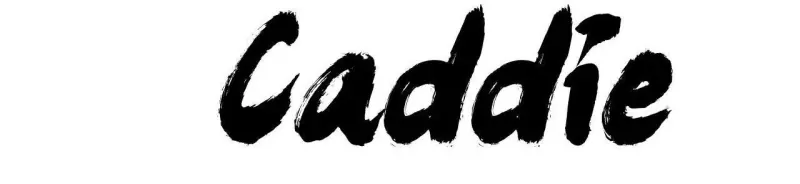 Caddie của riêng tôi Chapter 15 Trang 3