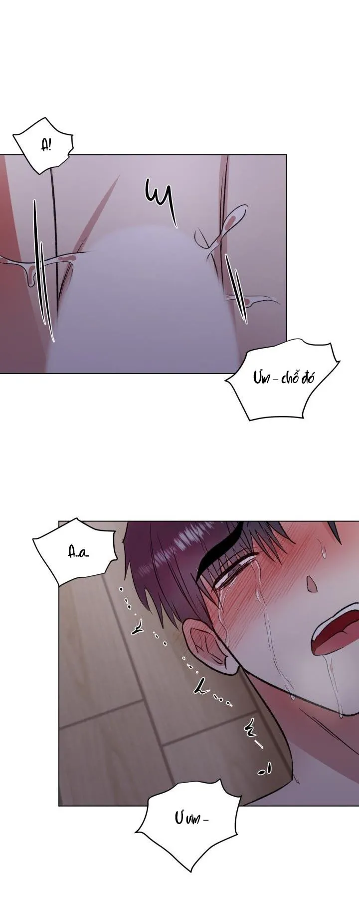 Cái bóng sau song cửa sắt Chapter 10 Trang 24