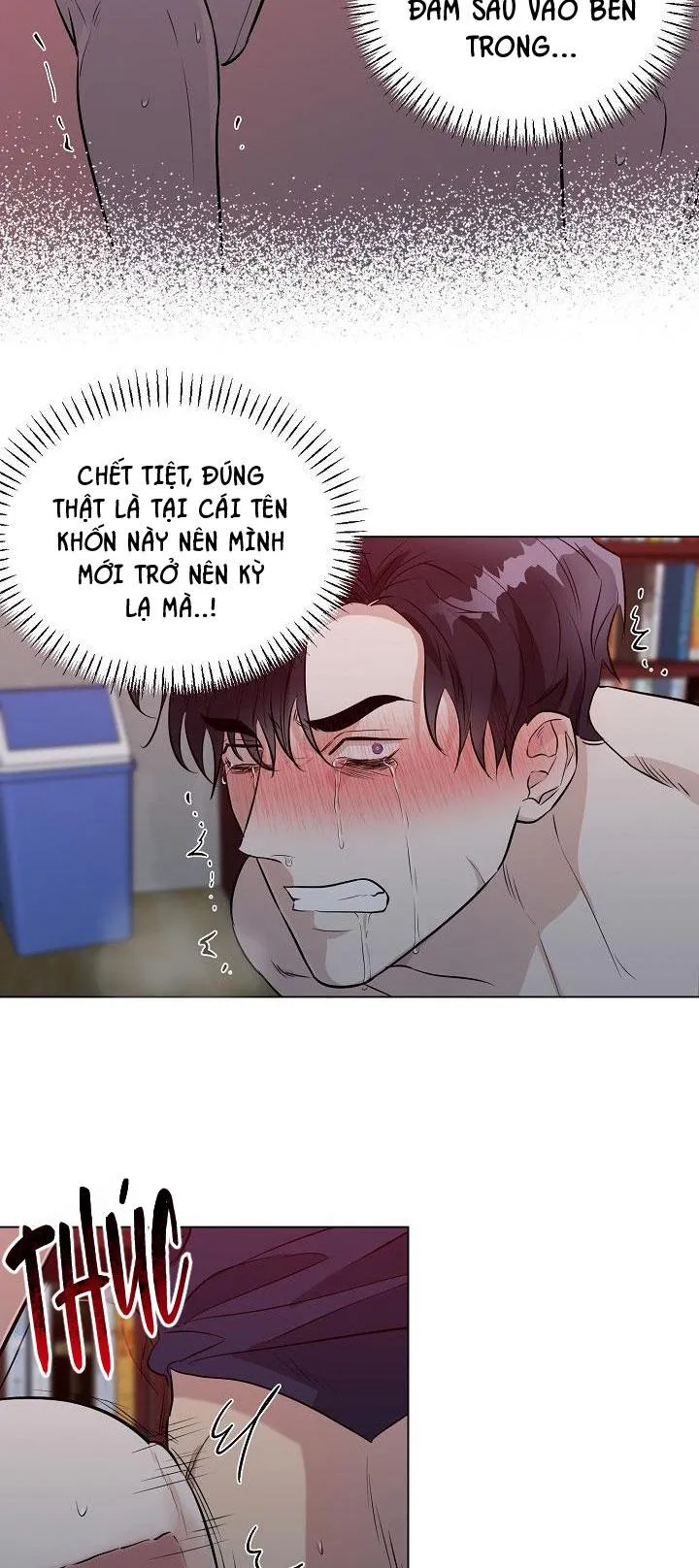 Cái bóng sau song cửa sắt Chapter 12 Trang 37